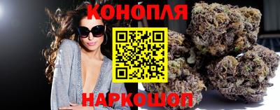 прущие крисы Шелехов